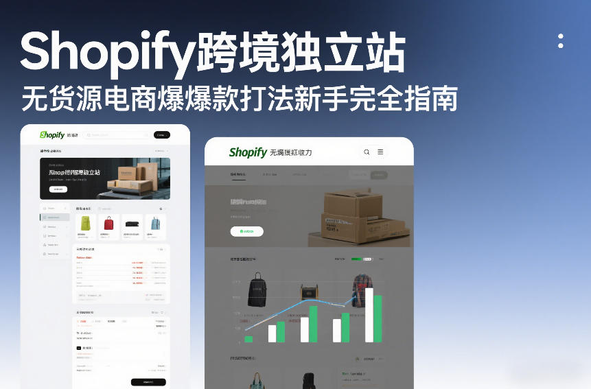Shopify跨境独立站无货源电商爆款打法新手完全指南-资源云