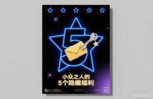 付费文章:小众之人的5个隐藏福利-资源云