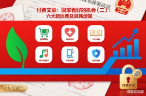 付费文章:国家看好的机会(二):六大新消费及其新增量-资源云