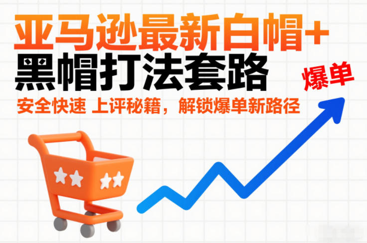 亚马逊最新白帽+黑帽打法套路，安全快速上评秘籍，解锁爆单新路径-资源云