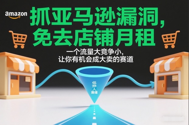 抓亚马逊漏洞，免去店铺月租，一个流量大竞争小，让你有机会成大卖的赛道-资源云