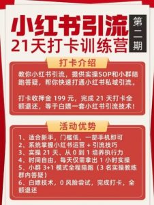 小红书引流21天打卡训练营第二期，助你快速打通小红书私域引流打粉-资源云