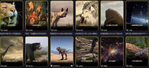 抖音60W粉丝博主最新科学知识科普视频制作教学，流量超好，多平台发布撸收益-资源云