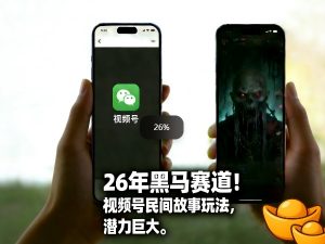 26年黑马赛道,视频号民间故事类玩法,潜力巨大,每日收益超5张-资源云