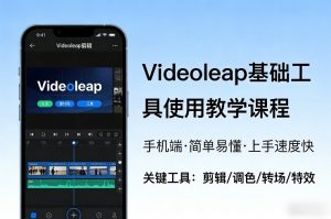 Videoleap基础工具使用教学课程,手机端视频剪辑教学,简单易懂,上手速度快-资源云