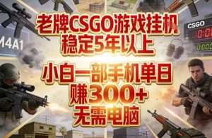 老牌CSGO游戏挂G,稳定5年以上,小白一部手机单日賺3张+,无需电脑【揭秘】-资源云