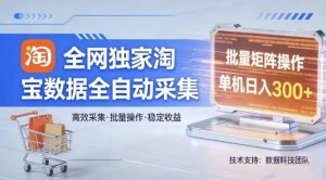 全网独家，淘宝数据全自动采集项目，批量可矩阵，单机轻松日入300【揭秘】-资源云