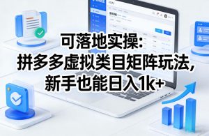 可落地实操:拼多多虚拟类目矩阵玩法,新手也能日入1k+【揭秘】-资源云