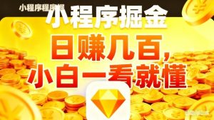 微信小程序掘金项目，不用复杂操作，5分钟就能学会上手操作，日入几张【揭秘】-资源云