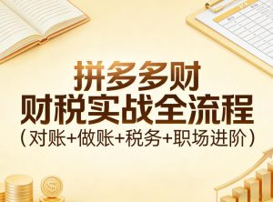 拼多多财税实战全流程（对账+做账+税务+职场进阶）-资源云