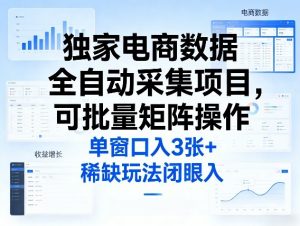 独家电商数据全自动采集项目，可批量矩阵操作，单窗口日入3张+，稀缺玩法闭眼入【揭秘】-资源云
