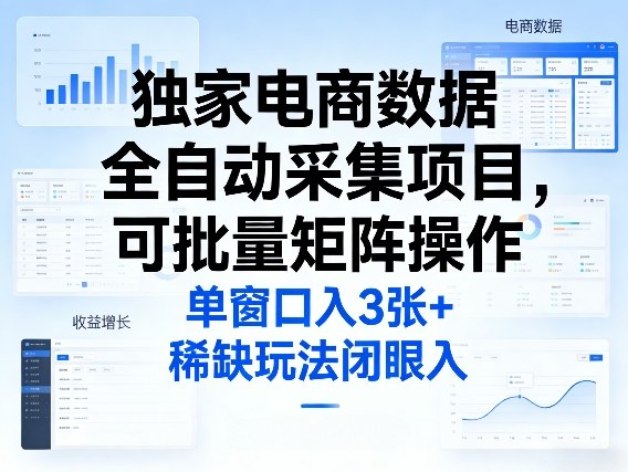 独家电商数据全自动采集项目，可批量矩阵操作，单窗口日入3张+，稀缺玩法闭眼入【揭秘】-资源云
