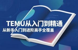 TEMU从入门到精通,从新手入门到进阶高手全覆盖-资源云