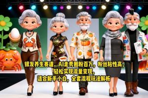 银发养生赛道，AI走秀圈粉百万，粉丝粘性高，轻松实现流量变现，适合新手小白，全套流程玩法解析-资源云