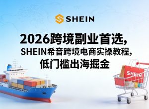 2026跨境副业首选，SHEIN希音跨境电商实操教程，低门槛出海掘金-资源云