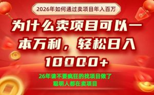 一单净利润1K+,26年想年入100个W,死磕卖项目就够了【揭秘】-资源云