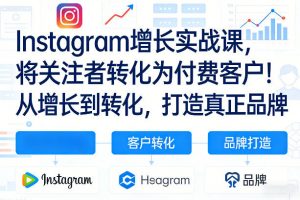 Instagram增长实战课,将关注者转化为付费客户!从增长到转化,打造真正品牌(双语字幕)-资源云