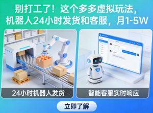 别打工了!这个多多虚拟玩法,机器人24小时发货和客服,月1-5W【揭秘】-资源云