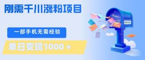 刚需千川涨粉项目，一部手机无需技术，单日变现1k+，当天做当天见收益【揭秘】-资源云
