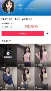 最新AI美女视频制作教学,去AI痕迹,全程带你落地,不玩虚的-资源云